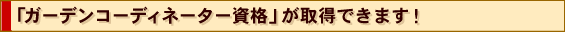 �u�K�[�f���R�[�f�B�l�[�^�[���i�v�����܂��I�v���Ƃ��Ă̊�����I