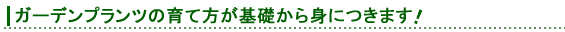 �K�[�f���v�����c�̈�ĕ�����b����g�ɂ��܂��I