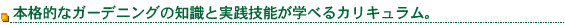 �ܳ�Ū�ʥ����ǥ˥󥰤��μ��ȼ�����ǽ���ؤ٤륫�ꥭ���ࡣ