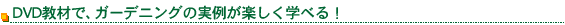 �ģ֣Ķ���ǡ������ǥ˥󥰤μ��㤬�ڤ����ؤ٤롪