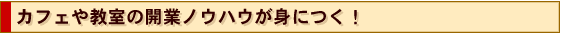 �J�t�F�⋳���̊J�ƃm�E�n�E���g�ɂ��I