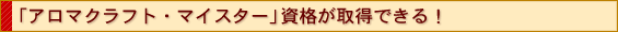 iāAGݍ̐搶ƂĊłI