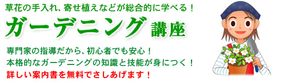 ガーデニング講座 ハッピーチャレンジゼミ 通信講座