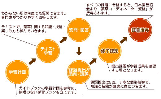 薬草ガーデン講座